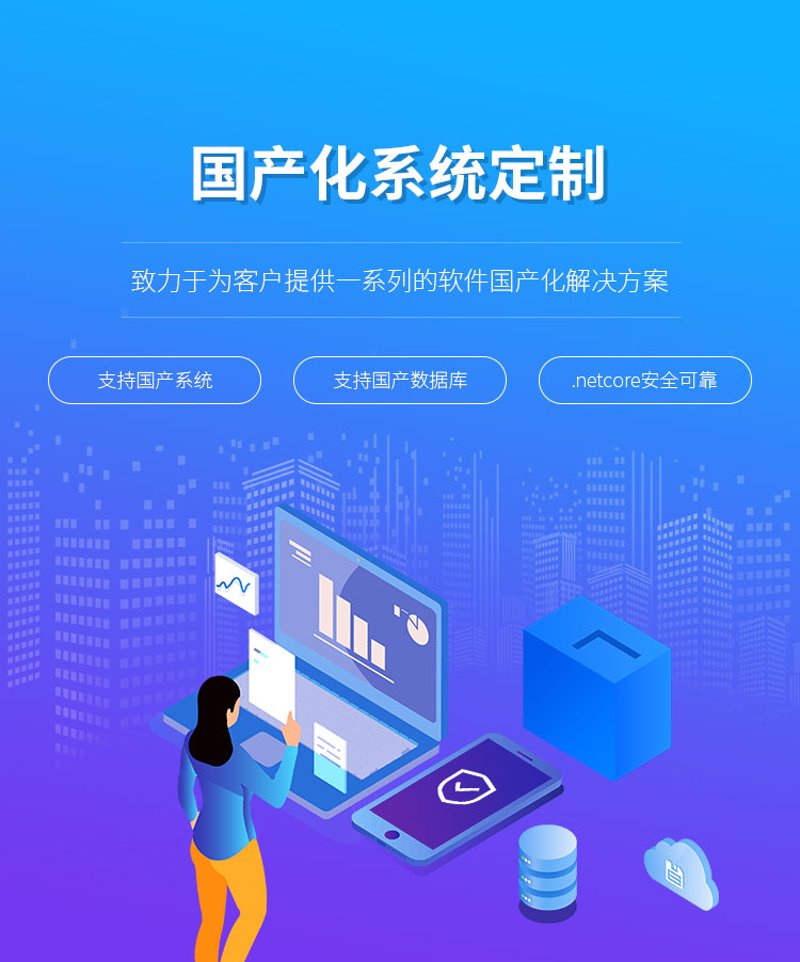 系统定制：企业信息化建设的新时代引擎